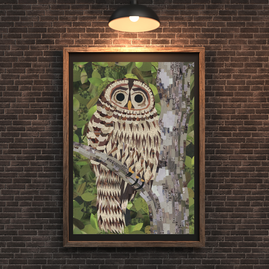 Hoot Hoot 16x20" Print