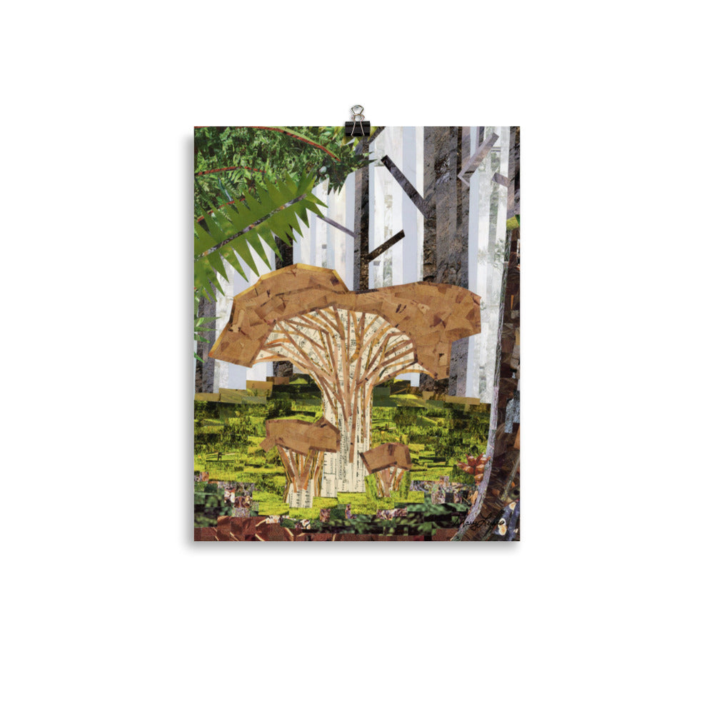 Chantrelle Mushroom in the Foggy Forest 11"x14" Print